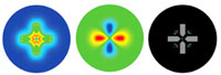 左から: 電極によって生成された電位分布; 電場強度分布, および細胞の分布