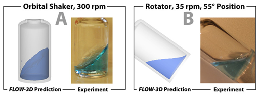 図2．流体の自由表面形状に対するCFDシミュレーションと実験の比較 (A)オービタル・シェーカー(300 rpm)の定常状態、および(B)ローテーター（35 rpm、および傾斜位置55°） 