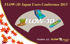 flow-3d_conf2013_logo