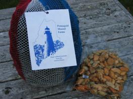 aquaculture-flow-3d-mussel-harvest