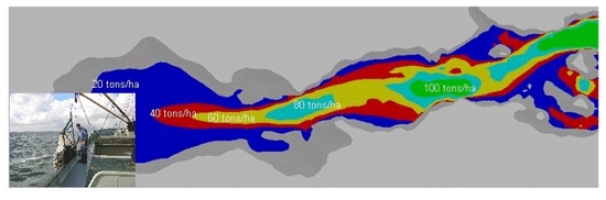 最大肉収量を得るための播種密度 – 底面栽培