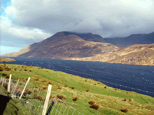 アイルランドのキラリー湾でムール貝養殖に使用されている延縄