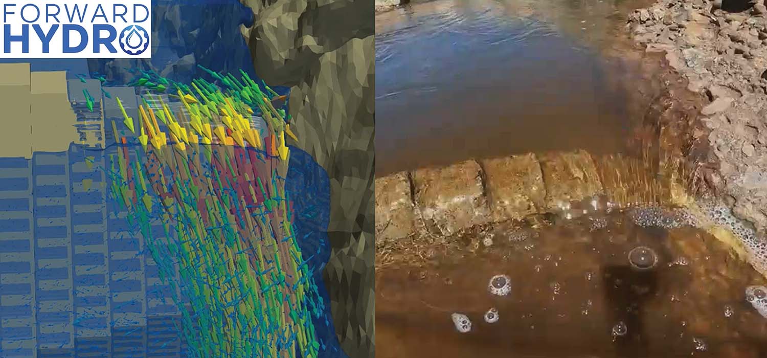 より詳細なメッシュモデルを用いて、魚種ごとの水理基準に照らし合わせながら、稚魚育成場の水理条件を詳細に評価し、様々な魚種や成長段階における設計の適合性を検証した。