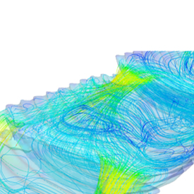 fish-passage-simulations