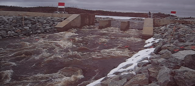 設計最適化作業前の魚道内の流れ