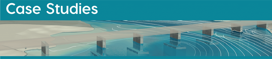 flow3d-hydro-case-studies