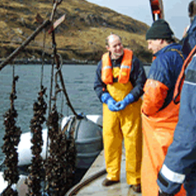 inspecting-longlines