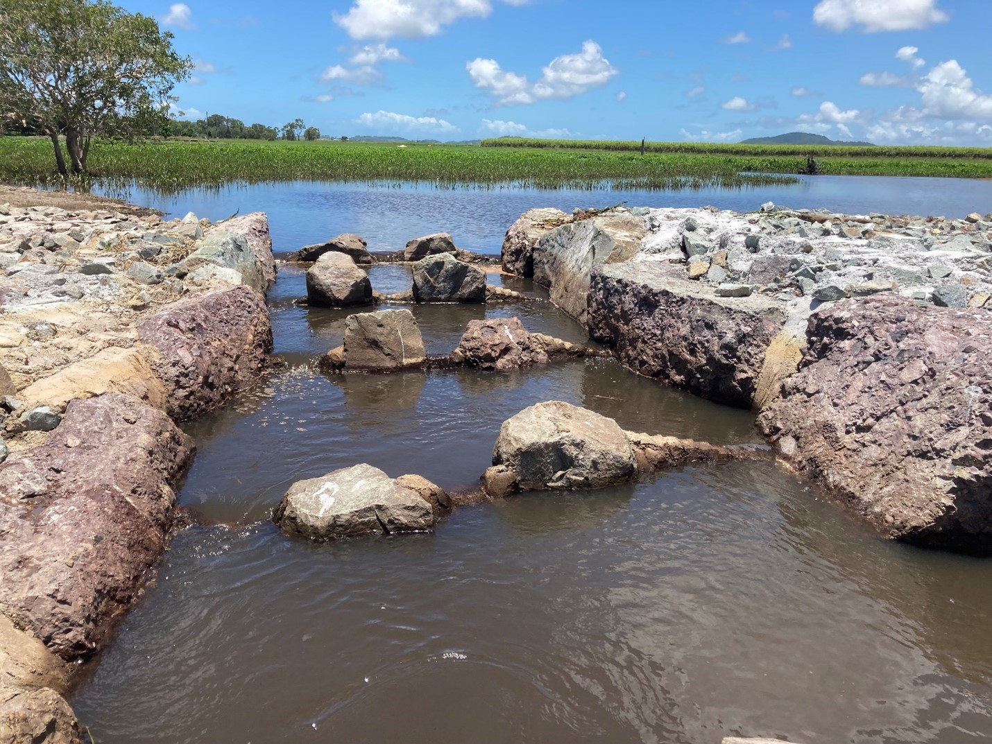 建設後の稚魚育成用魚道から、上流方向の沿岸部の池状の牧草地を望む。
