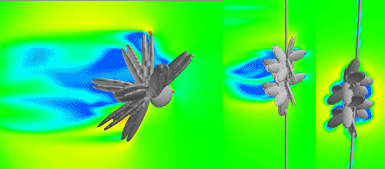 ロープに吊るされた個々のムール貝の塊の周囲の流れをシミュレーション(上面図、側面図、端面図、速度(フィート/秒)で色分け